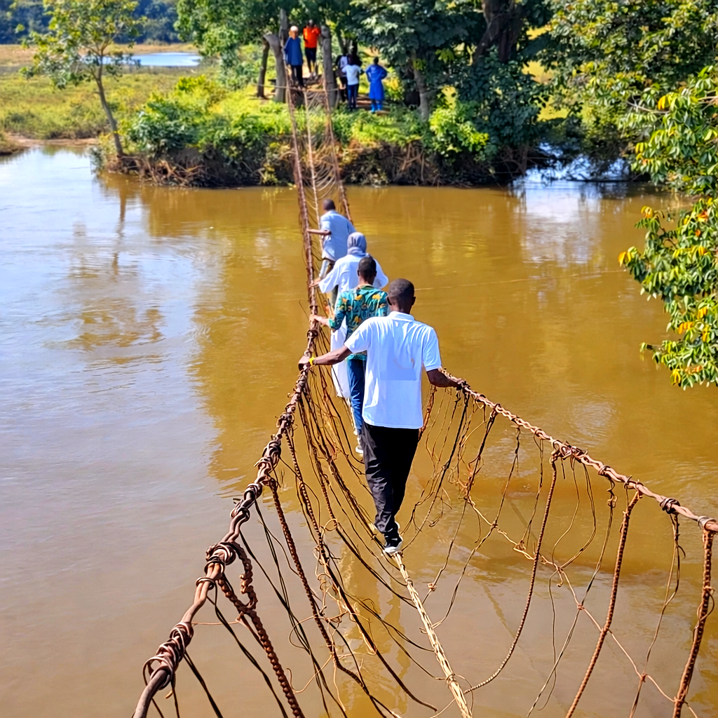 Close-up of vine bridge